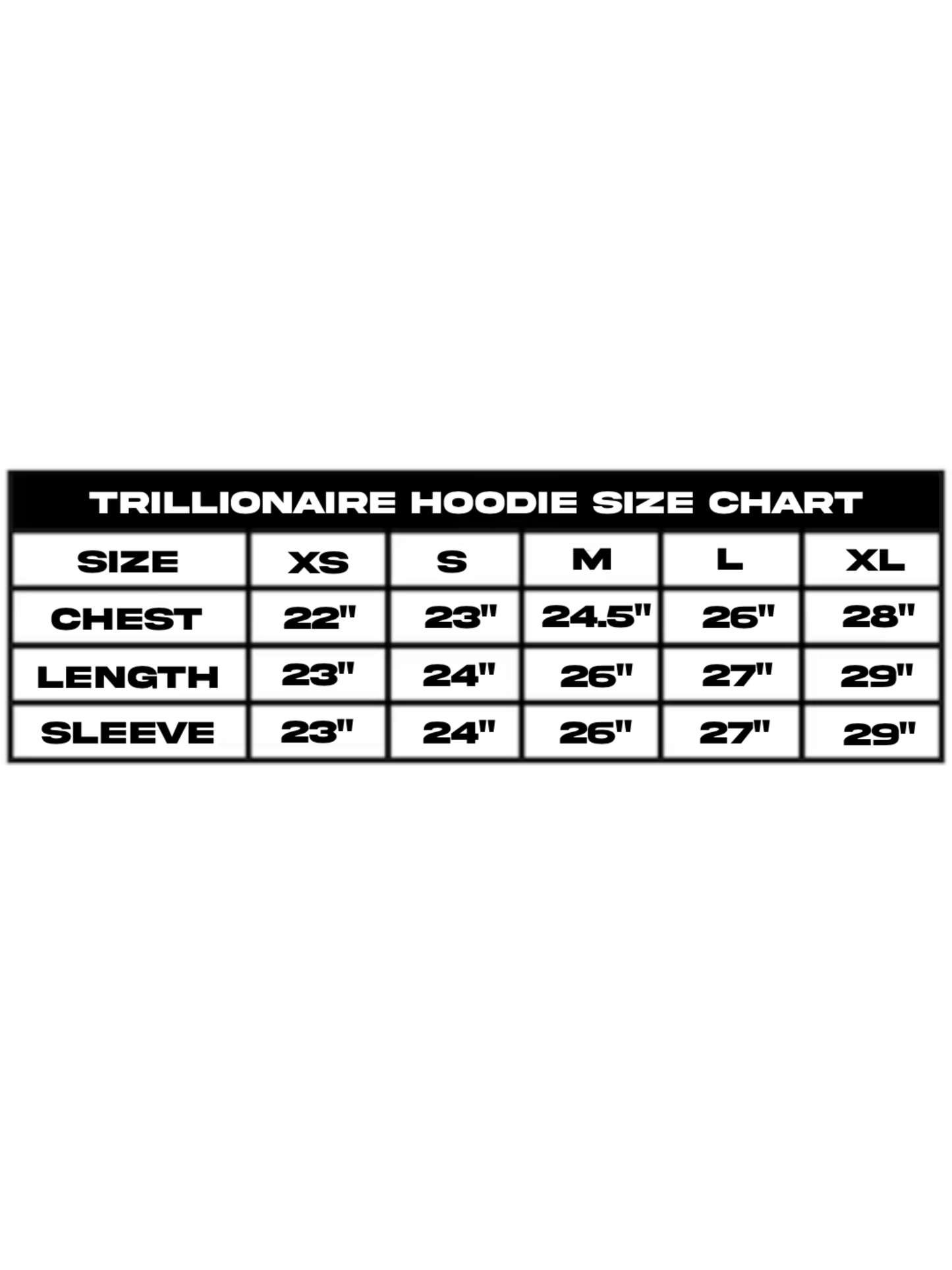 CONCERT HOODIE